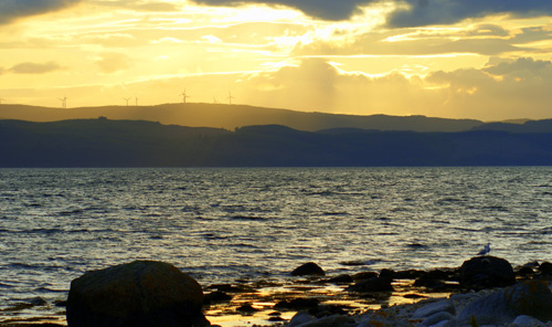 Near Willow Cottage, Isle of Arran