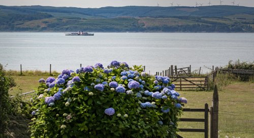 Waverley from Willow Cottage